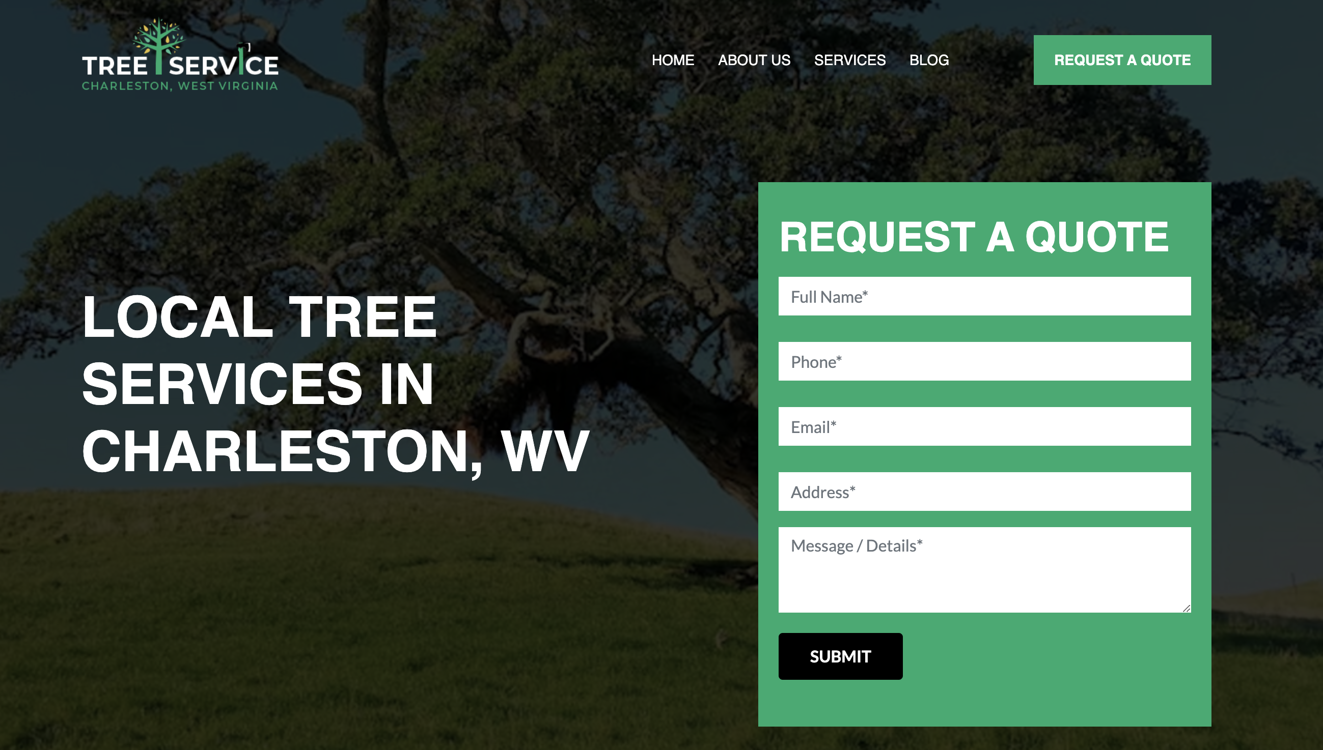 Tree Service Charleston, West Virginia